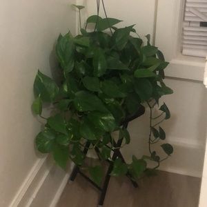 Meet your Posher, Leidy